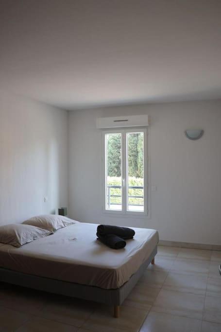 Suberbe Appartement Climatise Avec Terrasse Saint-Raphaël Extérieur photo